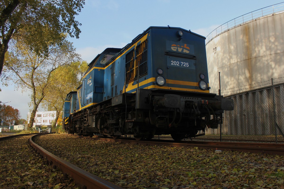 evb Logistik 202 725 und 202 753 am 23.10.2015 in Hamburg Dradenau abgestellt.