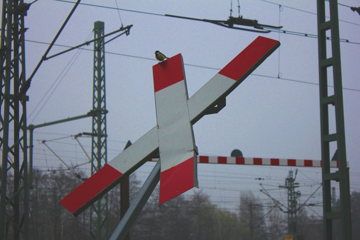 Vogelgezwitscher von einer Meise auf dem Andreaskreuz in Hamburg Harburg in der Abstellung am berweg am 29.03.2014