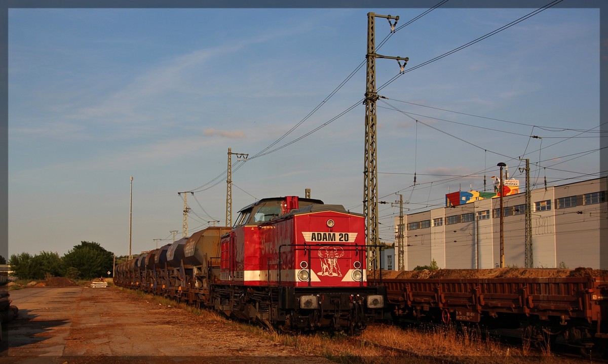 202 466  Ganuer  von Uwe Adam in Neubrandenburg bei Rangierarbeiten am 06.07.2015