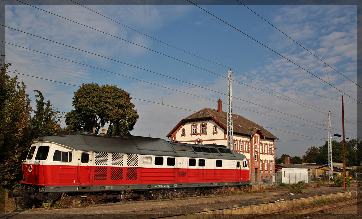 232 141 der WFL abgestellt in Neustrelitz Hbf am 04.10.2015