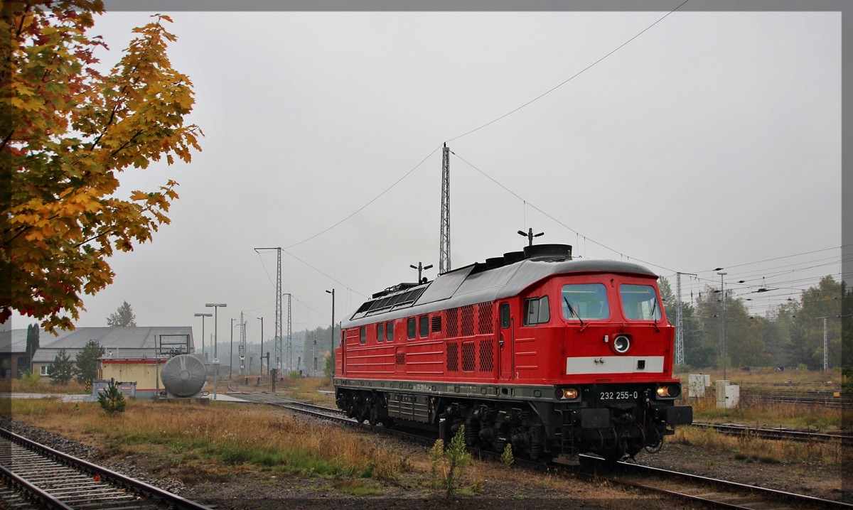 232 255 bei einer Rangierfahrt in Neustrelitz am 15.10.2015