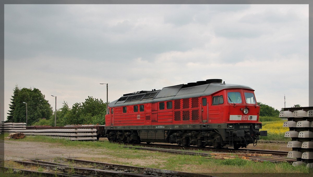 233 306 in Möllenhagen am 28.05.2015