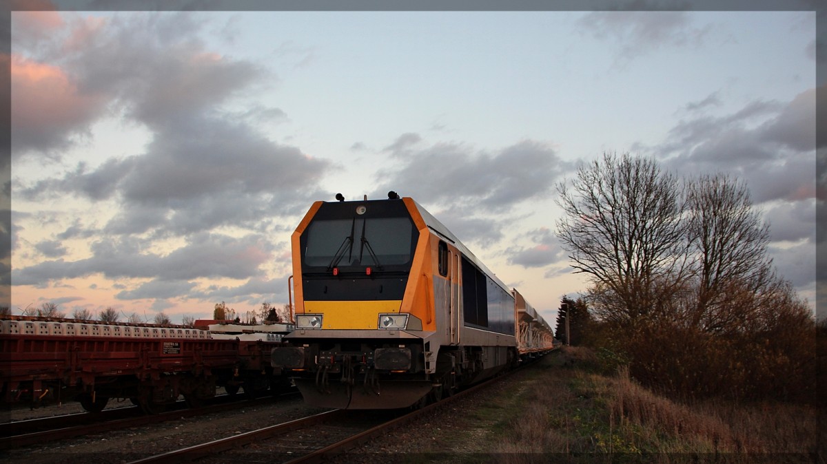 264 009 von NRS abgestellt in Möllenhagen am 12.11.15