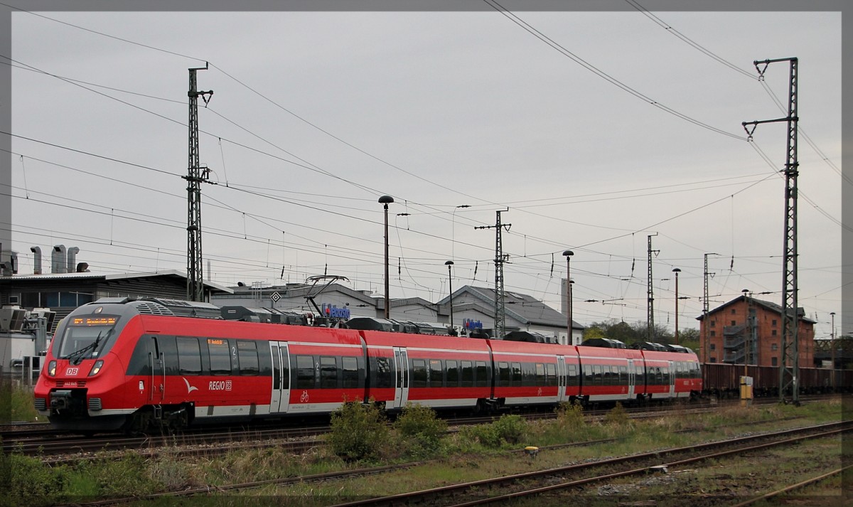 Der 442 345 bei der Ausfahrt in Richtung Neustrelitz Hbf in Neubrandenburg am 27.04.2015