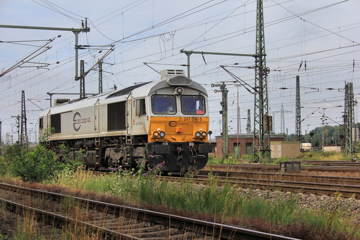  Euro Cargo Rail 247 016-9 kommt LZ am 12.08.2013 durch Oberhausen West gefahren.