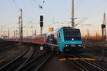 Einfahrt hat die NOB 245 206-8 mit SH - Express Wagen am 03.12.2016 auf Gleis 8 im Kopfbahnhof Hamburg Altona.
