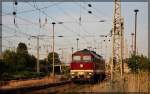 231 012 der WFL abgestellt in Neubrandenburg am 06.07.2015