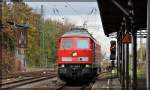 233 288 bei ener Rangierfahrt in Gaschwitz am 21.10.2013