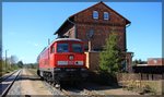 233 510 bei Rangierarbeiten in Möllenhagen am 22.04.2016